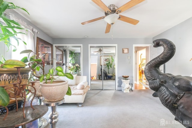 living area featuring carpet and plenty of natural light