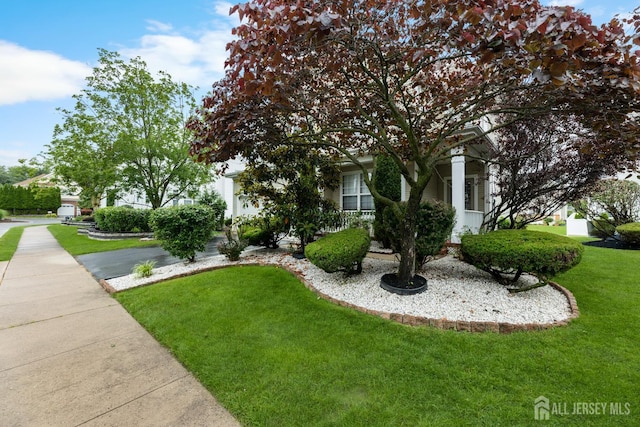40 Elsie Dr, Plainsboro, NJ 08536 - photo 4