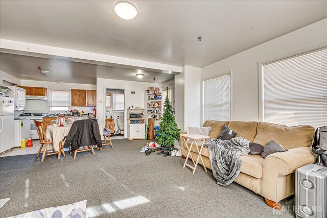 82 Louis St, New Brunswick, NJ 08901 - photo 29