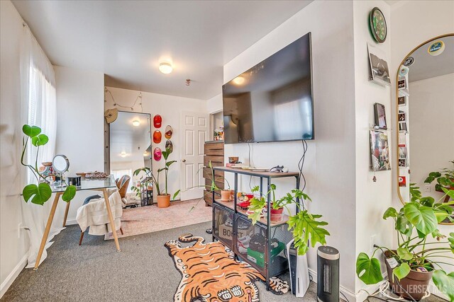 82 Louis St, New Brunswick, NJ 08901 - photo 23