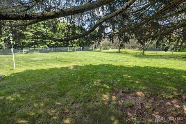 294 Fresh Pond Rd, South Brunswick, NJ 08902 - view of yard