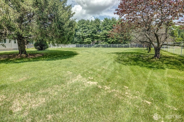 294 Fresh Pond Rd, South Brunswick, NJ 08902 - view of yard