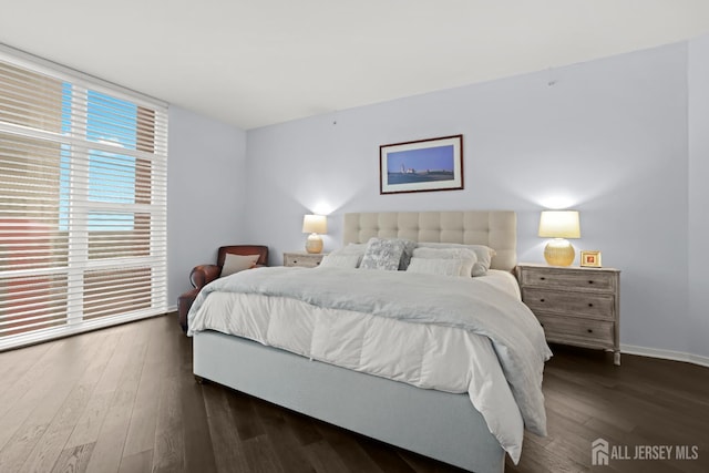 20 Livingston Ave Unit 601, New Brunswick, NJ 08901 - bedroom featuring dark wood finished floors and baseboards