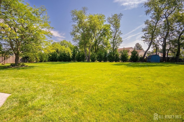 10 Chelsea Ct, South Brunswick, NJ 08810 - view of grassy yard featuring a storage shed