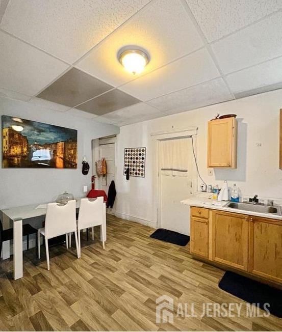 163 Livingston Ave, New Brunswick, NJ 08901 - dining area with a drop ceiling and light wood-type flooring
