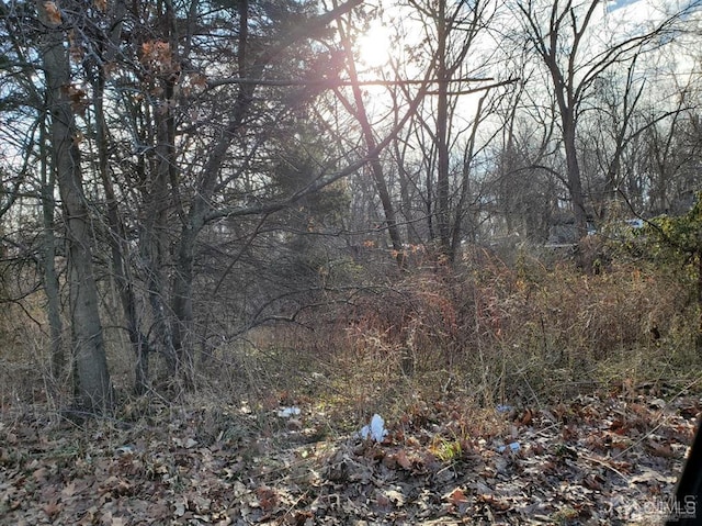 view of local wilderness