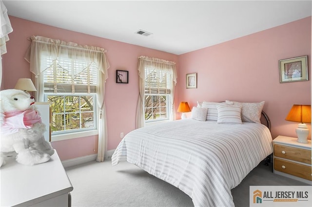 34 Schindler Ct Unit 17, Lawrence, NJ 08648 - bedroom featuring carpet floors and baseboards