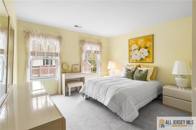 34 Schindler Ct Unit 17, Lawrence, NJ 08648 - photo 38