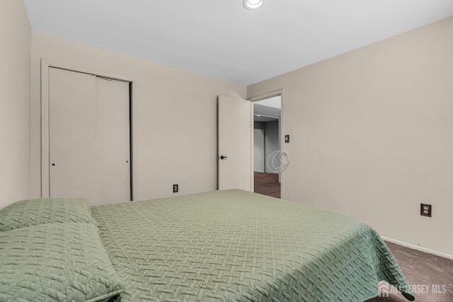 2 Crommelin Ct, East Brunswick, NJ 08816 - bedroom with carpet flooring and a closet