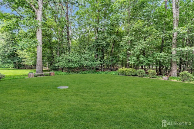 2 Crommelin Ct, East Brunswick, NJ 08816 - view of green lawn