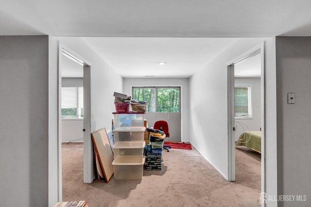 2 Crommelin Ct, East Brunswick, NJ 08816 - dining space featuring carpet flooring