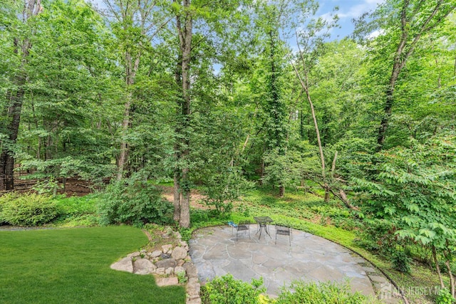 2 Crommelin Ct, East Brunswick, NJ 08816 - view of green lawn with a patio and a view of trees