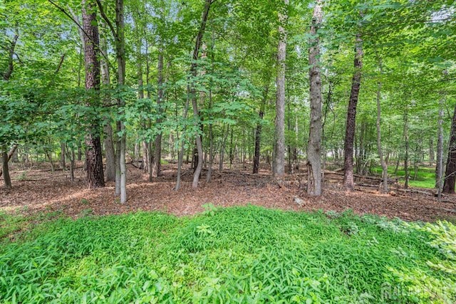 2 Crommelin Ct, East Brunswick, NJ 08816 - view of nature