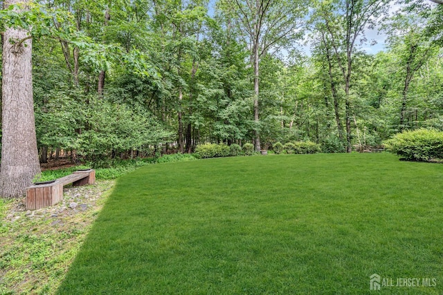 2 Crommelin Ct, East Brunswick, NJ 08816 - view of green lawn with a wooded view
