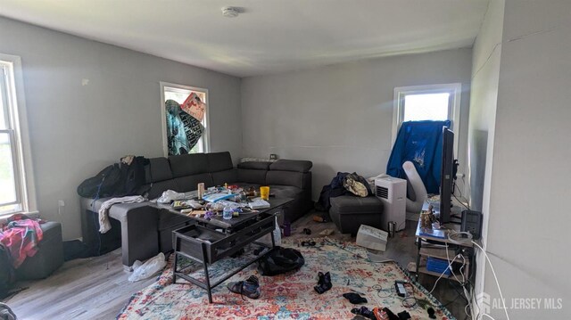 810-814 Leland Ave, Plainfield, NJ 07062 - living room featuring plenty of natural light and wood finished floors