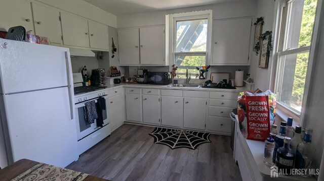 810-814 Leland Ave, Plainfield, NJ 07062 - kitchen with white appliances, under cabinet range hood, wood finished floors, light countertops, and white cabinetry