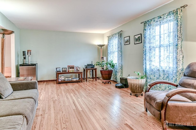 living area featuring wood finished floors