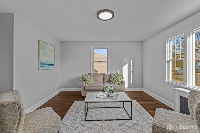 living room featuring dark hardwood / wood-style flooring