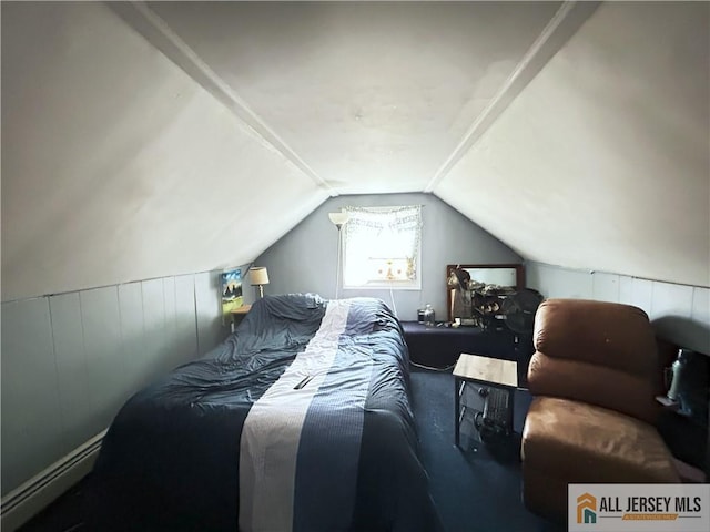 133 Pleasant Ave, Iselin, NJ 08830 - carpeted bedroom with a baseboard heating unit and vaulted ceiling
