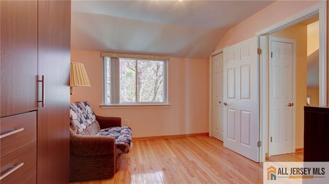 1141 Schmidt Ln, North Brunswick, NJ 08902 - living area with vaulted ceiling, light wood-style flooring, and baseboards