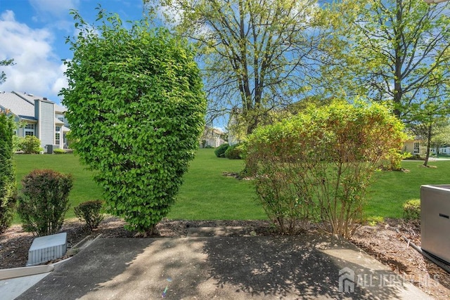 36 Canterbury Dr Unit D, Monroe, NJ 08831 - view of grassy yard