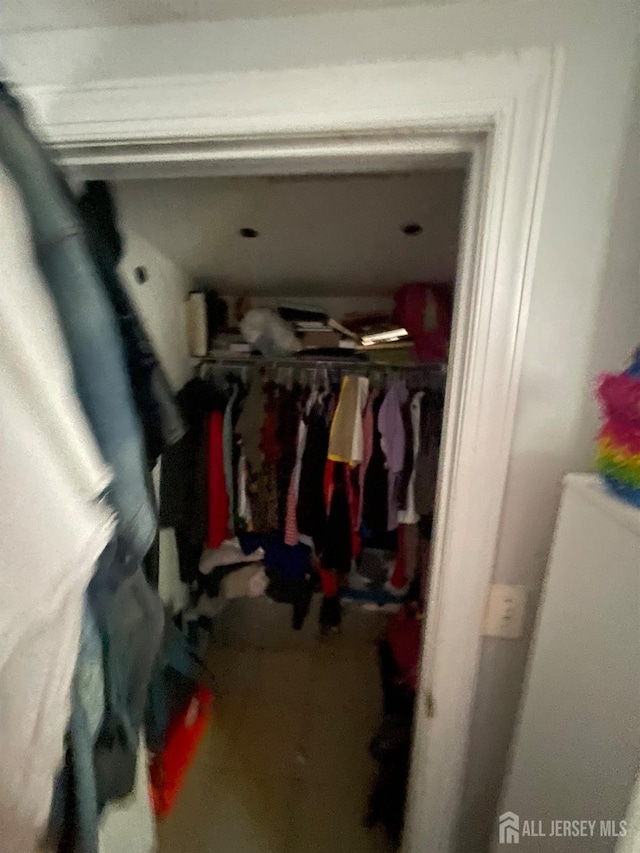 142 Joyce Kilmer Ave, New Brunswick, NJ 08901 - view of walk in closet