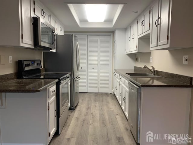 kitchen with stainless steel appliances, a tray ceiling, a sink, and white cabinets