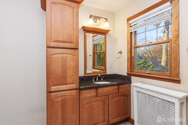 bathroom with vanity and radiator