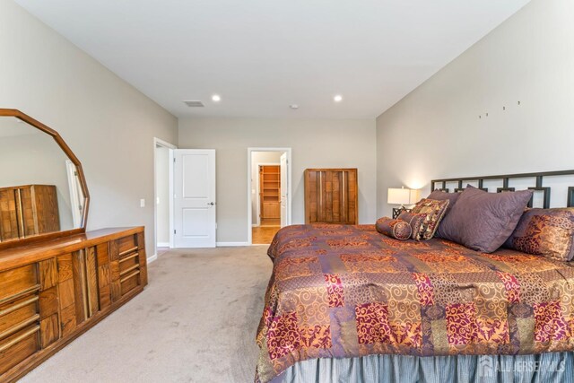 carpeted bedroom with a spacious closet and a closet