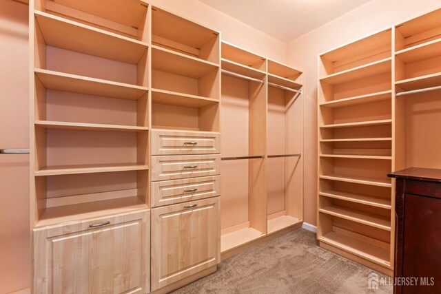 spacious closet with light carpet