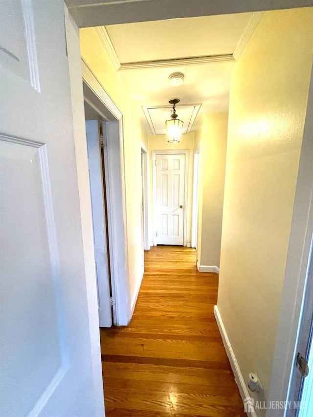 hallway with hardwood / wood-style floors and ornamental molding