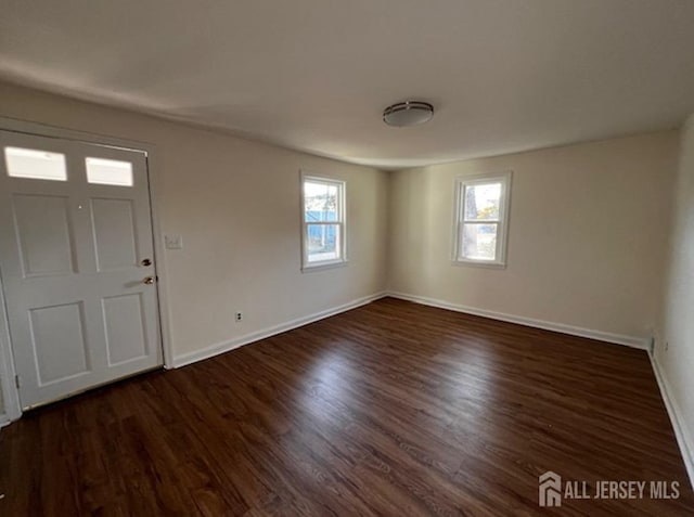 entryway featuring dark hardwood / wood-style flooring