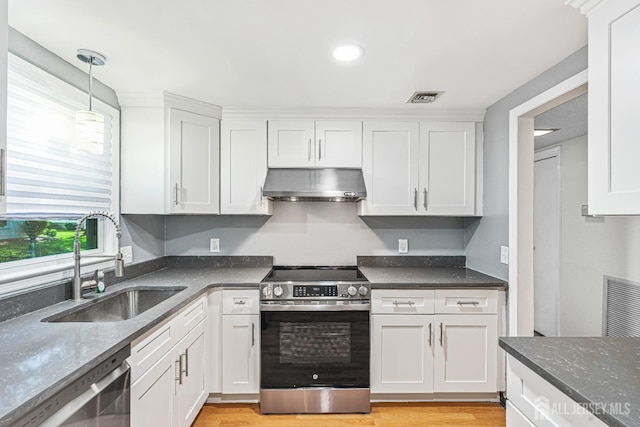 298-B Sharon Way, Monroe, NJ 08831 - kitchen featuring appliances with stainless steel finishes, under cabinet range hood, white cabinets, hanging light fixtures, and light wood finished floors