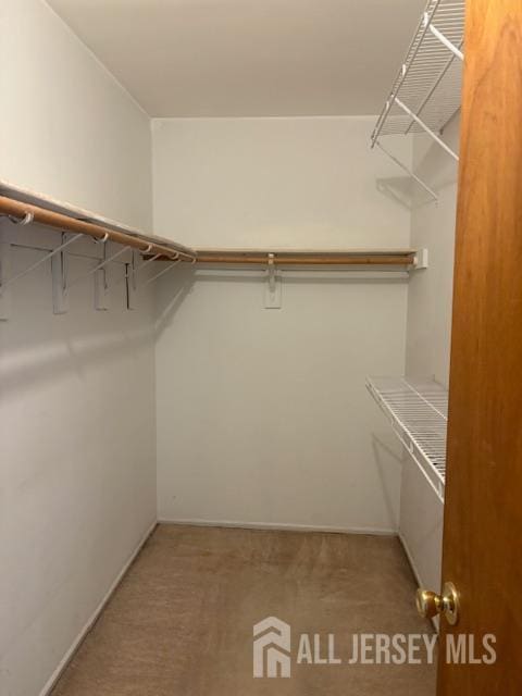 4 La Valencia Rd, Old Bridge, NJ 08857 - spacious closet with carpet floors