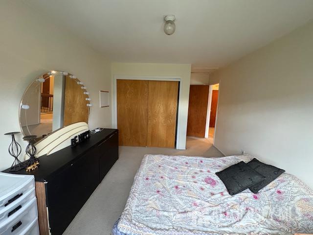 4 La Valencia Rd, Old Bridge, NJ 08857 - bedroom with a closet and light carpet