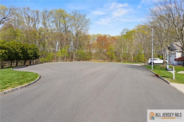 31 Cameron Ct, Monroe, NJ 08831 - view of asphalt road with curbs