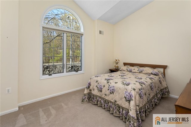 31 Cameron Ct, Monroe, NJ 08831 - carpeted bedroom with lofted ceiling, multiple windows, and baseboards