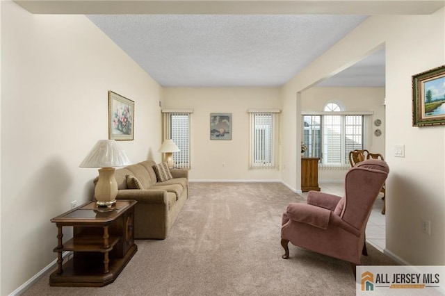 31 Cameron Ct, Monroe, NJ 08831 - carpeted living room with a textured ceiling and baseboards