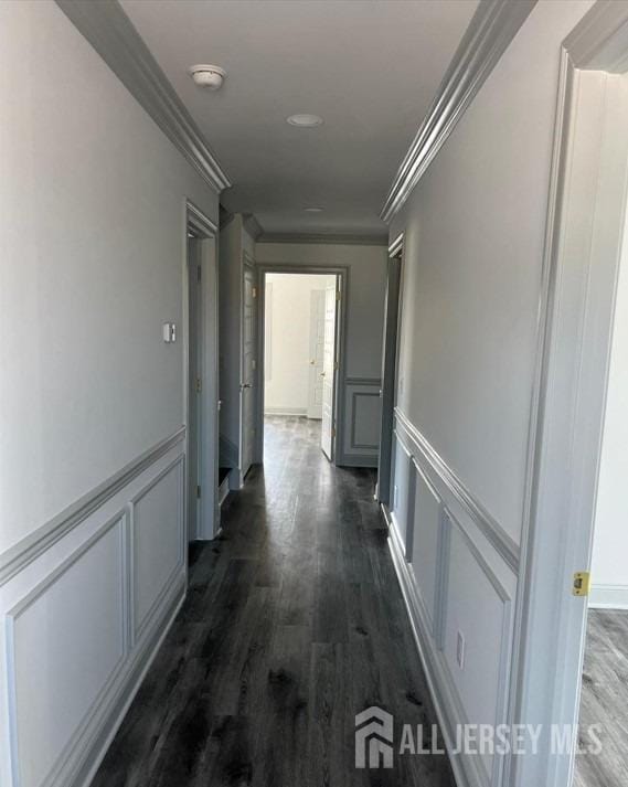 hallway featuring dark wood-type flooring, crown molding, and a decorative wall