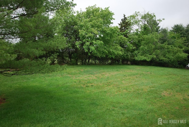 54 Castle Pointe Blvd, Piscataway, NJ 08854 - view of green lawn