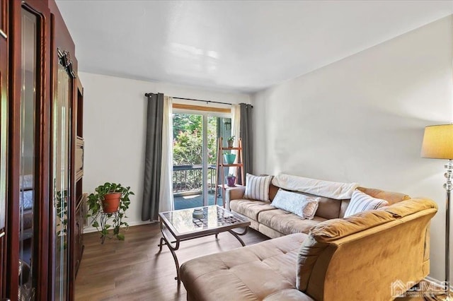 living room with dark hardwood / wood-style floors