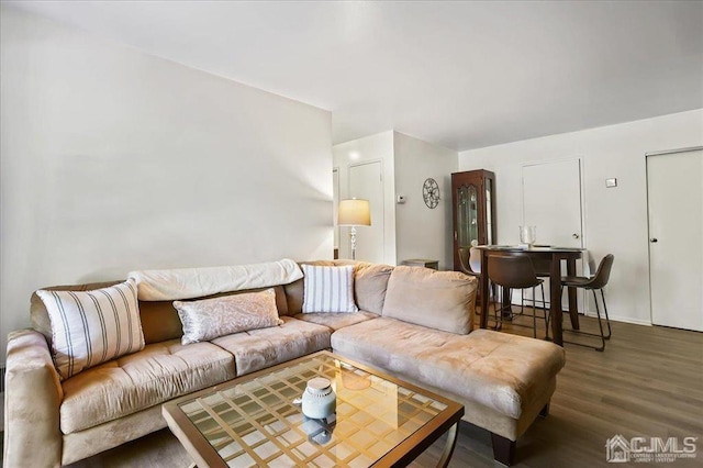 living room featuring dark hardwood / wood-style floors