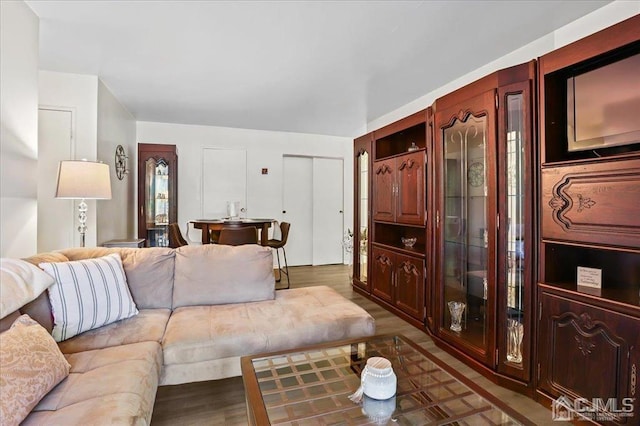 living room featuring light hardwood / wood-style floors