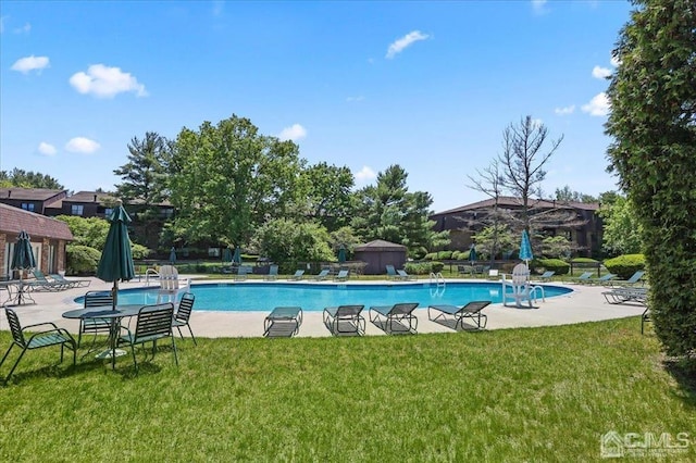 view of swimming pool with a yard