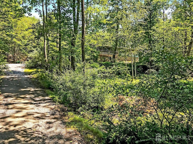 34 Stony Brook Rd, Blairstown, NJ 07825 - view of dirt / gravel road with a wooded view
