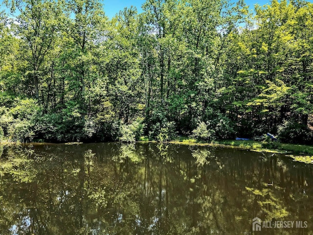 34 Stony Brook Rd, Blairstown, NJ 07825 - water view featuring a heavily wooded area
