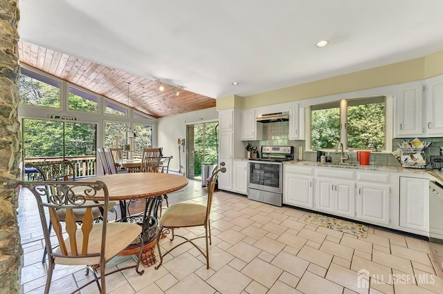34 Stony Brook Rd, Blairstown, NJ 07825 - kitchen featuring stainless steel electric range oven, backsplash, healthy amount of natural light, white cabinetry, and lofted ceiling