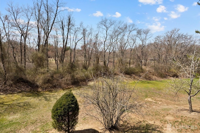 1724 Country Mill Dr, East Windsor, NJ 08512 - view of local wilderness