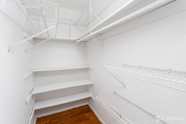 1724 Country Mill Dr, East Windsor, NJ 08512 - walk in closet featuring wood finished floors