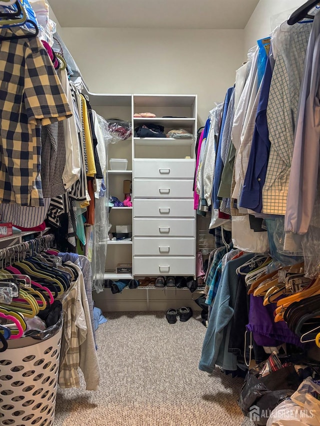 53 Mandrake Rd, Monroe, NJ 08831 - spacious closet with carpet floors